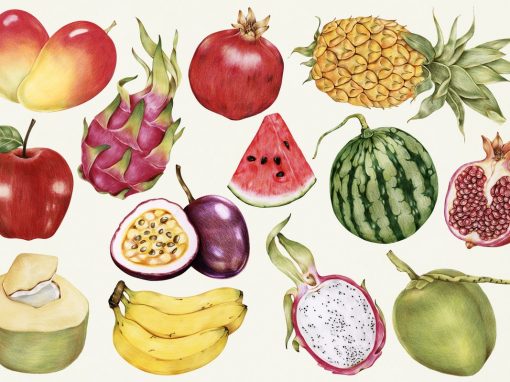 illustration antique fruits exotiques