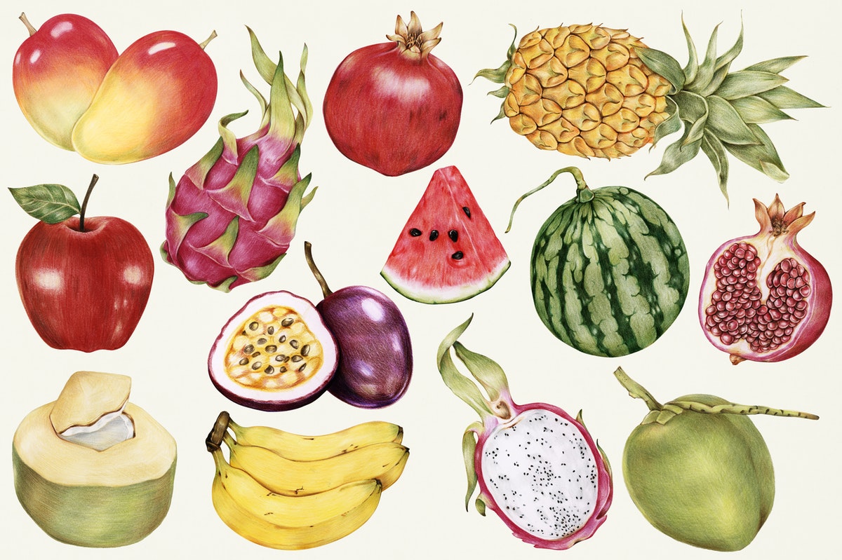 illustration antique fruits exotiques